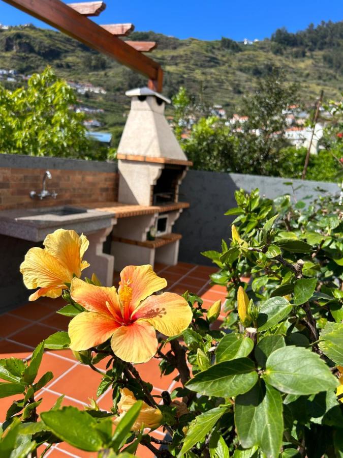 Вилла Tropical Garden Арку-да-Кальета Экстерьер фото